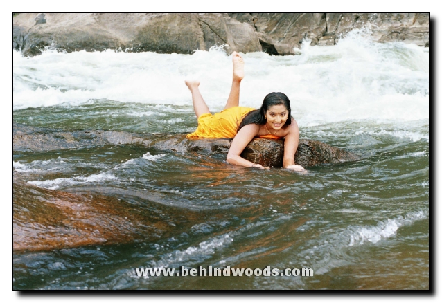 tamil movie Pasakiligal